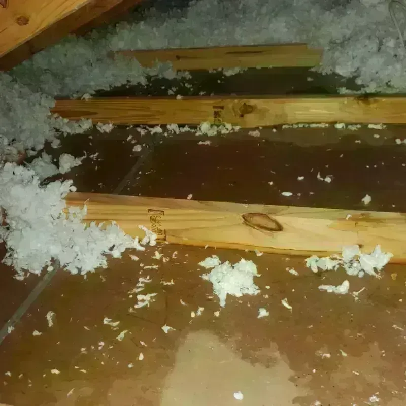 Attic Water Damage in Sterling City, TX