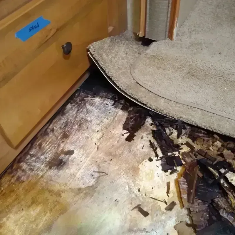 Wood Floor Water Damage in Sterling City, TX